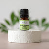 Jasmine Grandiflorum Absolute By Plant Therapy