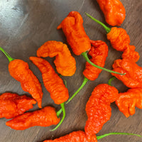 KAOS X Purple Reaper Pepper Seeds, Garden Vegetables That Needs Protective Gear