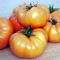 Kellogg's Breakfast Tomato Seeds, Signature Heirloom Garden Vegetables