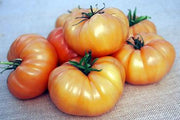 Kellogg's Breakfast Tomato Seeds, Signature Heirloom Garden Vegetables