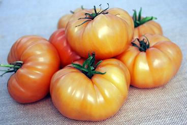 Kellogg's Breakfast Tomato Seeds, Signature Heirloom Garden Vegetables
