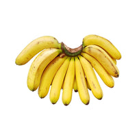 Lakatan Musa Banana Live Plant