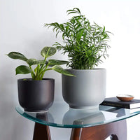 Bell Stoneware Ceramic Planter With Size & Color Options