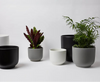 Bell Stoneware Ceramic Planter With Size & Color Options