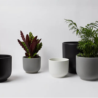 Bell Stoneware Ceramic Planter With Size & Color Options