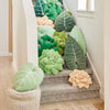Lil' Pop Succulent® - 16" Blush Peach Plant Pillow