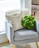 Lil' Pop Succulent®  - 16" Olive Green Plant Pillow