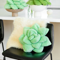 Lil' Pop Succulent®  - Sage Green Pillow