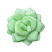 Lil' Pop Succulent®  - Sage Green Pillow