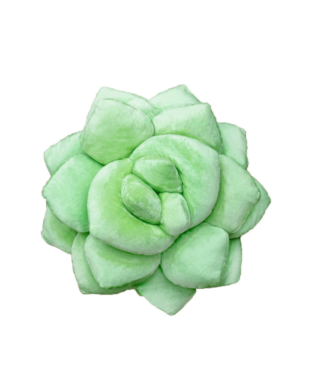 Lil' Pop Succulent®  - Sage Green Pillow