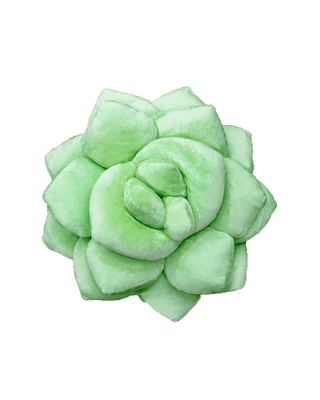Lil' Pop Succulent®  - Sage Green Pillow