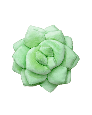 Lil' Pop Succulent®  - Sage Green Pillow