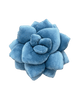 Lil' Pop Succulent® - 16" Smokey Blue Plant Pillow