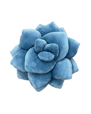 Lil' Pop Succulent® - 16