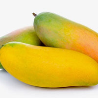 Mangifera 'Maha Chanok' (Mahachanok) Mango Fruit Tree, Grafted Live Plant