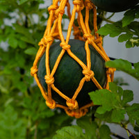 Melon Cradles By Bootstrap Farmer