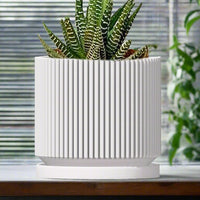 Mid-Century Ribbed Planter In Several Different Colors & Sizes