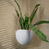 Minimalist Hanging Plant Pot with Drainage & In Various Colors