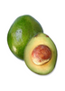 Persia americana, Avocado 'Monroe' Fruit Tree - Live Plant