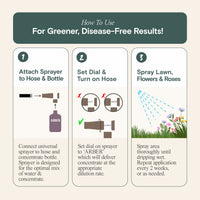 Organic Fungicide for Roses & Flower Plants By Arber
