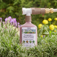 Organic Fungicide for Roses & Flower Plants By Arber