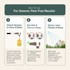 Organic Insecticide for Rose & Flower Plants By Arber