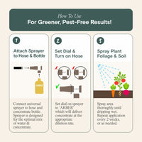 Organic Insecticide for Tomato & Vegetable Plants By Arber