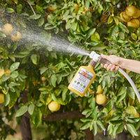 Organic Insecticide for Tomato & Vegetable Plants By Arber