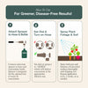 Organic Tomato, Fruit & Vegetable Plant Boost For Gardens By Arber