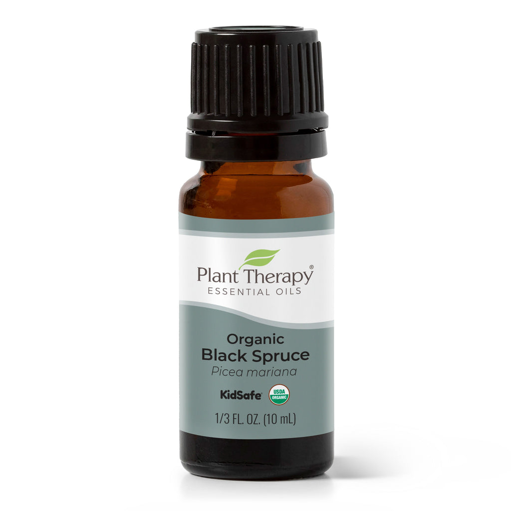 Organic Black Spruce Essential Oil By Plant Therapy