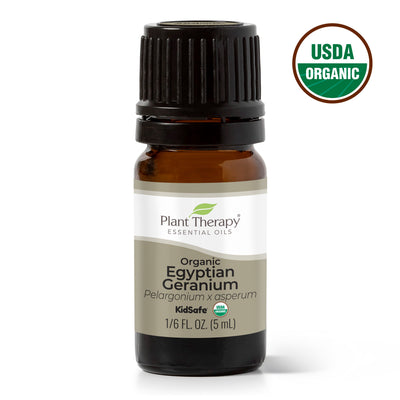 Organic Egyptian Geranium Essential Oil By Plant Therapy