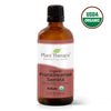 Organic Frankincense Serrata Essential Oil By Plant Therapy