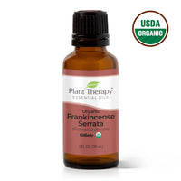 Organic Frankincense Serrata Essential Oil By Plant Therapy