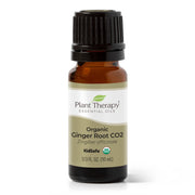 Organic Ginger Root CO2 By Plant Therapy