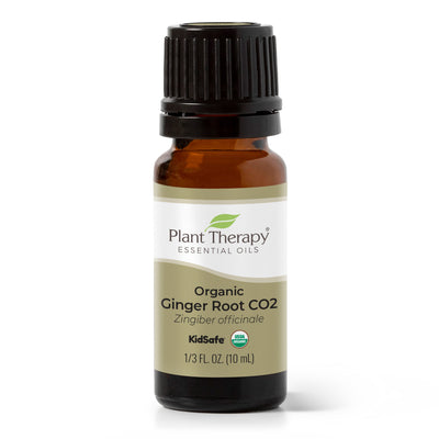 Organic Ginger Root CO2 By Plant Therapy
