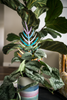 BARE™ Palmella™ - Customizable Wooden Plant Support - Inspired By The Palm Leaf