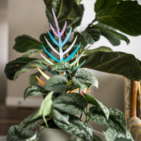 BARE™ Palmella™ - Customizable Wooden Plant Support - Inspired By The Palm Leaf