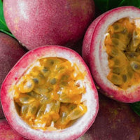 Passiflora Edulis 10 Seeds, Purple Edible Passion Fruit Vine Flowering Climber