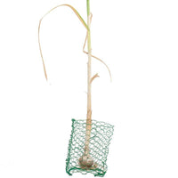 Garden Root Guard Gopher Basket Mini (6/pk)