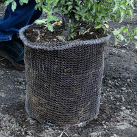 Garden Root Guard Speed Basket 1 gal (4/pk)