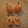 Peach Habanero Pepper Seeds, Garden Vegetables