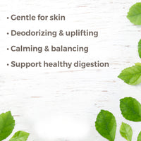 Petitgrain Essential Oil By Plant Therapy