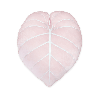 Philodendron Gloriosum Plant Leaf 27.5