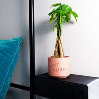 Plant Daddy Planter With Size & Color Options