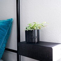 Plant Daddy Planter With Size & Color Options