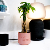Plant Daddy Planter With Size & Color Options