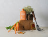 Organic Plant Food By Arber