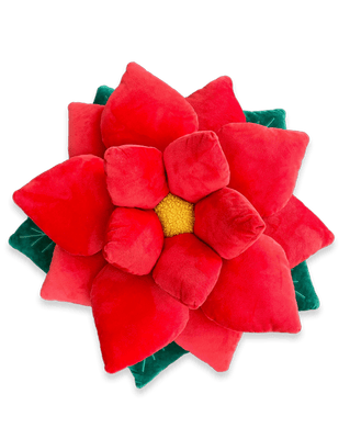 Poinsettia 23