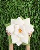 Poinsettia 23" Plant Pillow - Marshmallow White