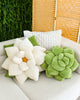 Poinsettia 23" Plant Pillow - Marshmallow White